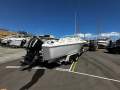 Pro-line 21 Walk Around 2017 Model 225hp HO Etec 104 Hrs