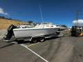 Pro-line 21 Walk Around 2017 Model 225hp HO Etec 104 Hrs