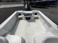 Pro-line 21 Walk Around 2017 Model 225hp HO Etec 104 Hrs