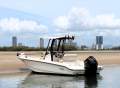 Boston Whaler 220 Dauntless Centre Console