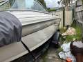 Sea Ray 182 BR