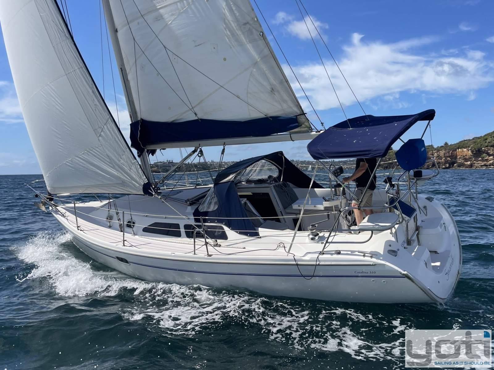 Catalina 310