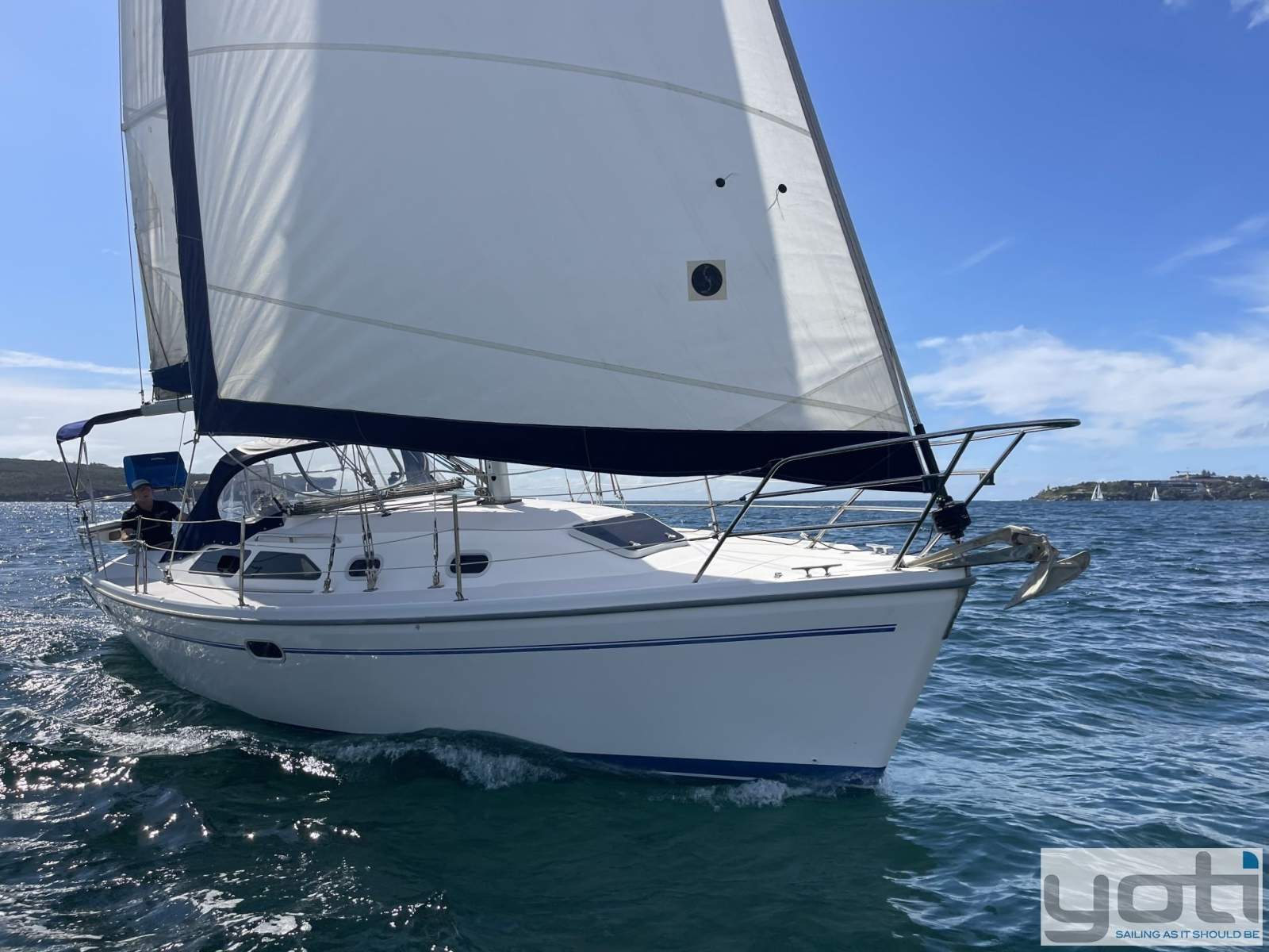 Catalina 310