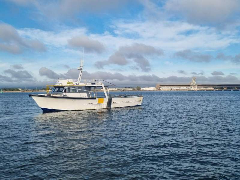 Custom - Offshore Vessel