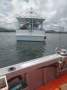 Sharpie Trawler Timber Cruiser