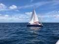 Easy 11.6 Relocated HERVEY BAY