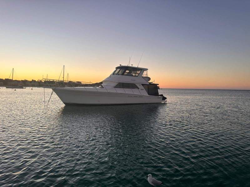 Caribbean 47 Flybridge Cruiser C47 Hard top landcruiser of the sea 50% or 100%