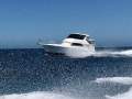 Caribbean 47 Flybridge Cruiser C47 Hard top landcruiser of the sea 50% or 100%