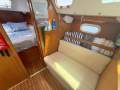 Catalina 310
