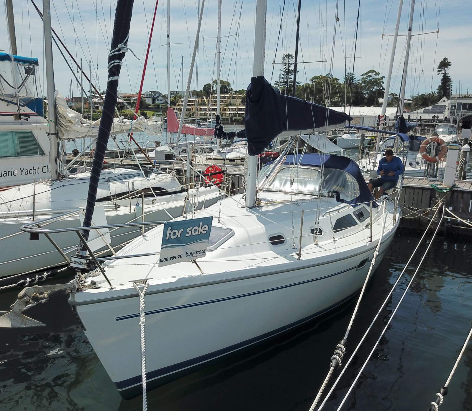 Catalina 310