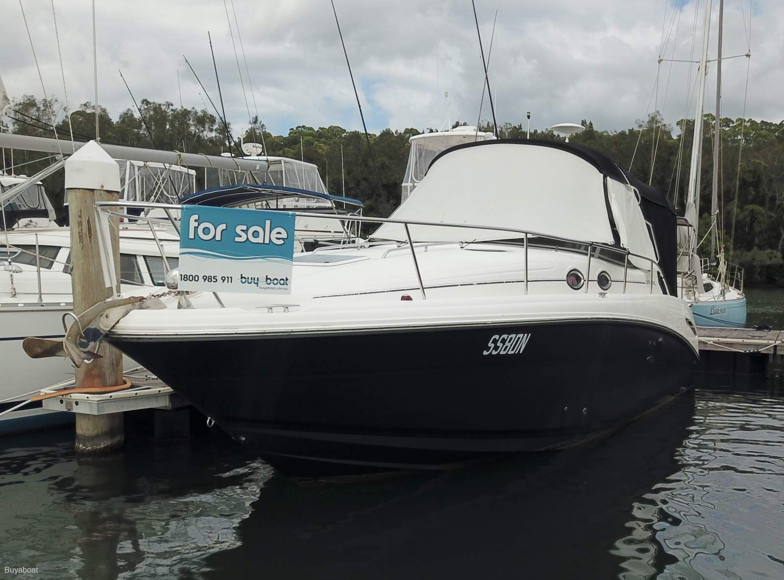 Sea Ray 300