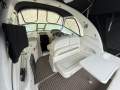 Sea Ray 300