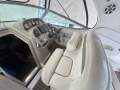 Sea Ray 300