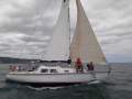 Duncanson 29