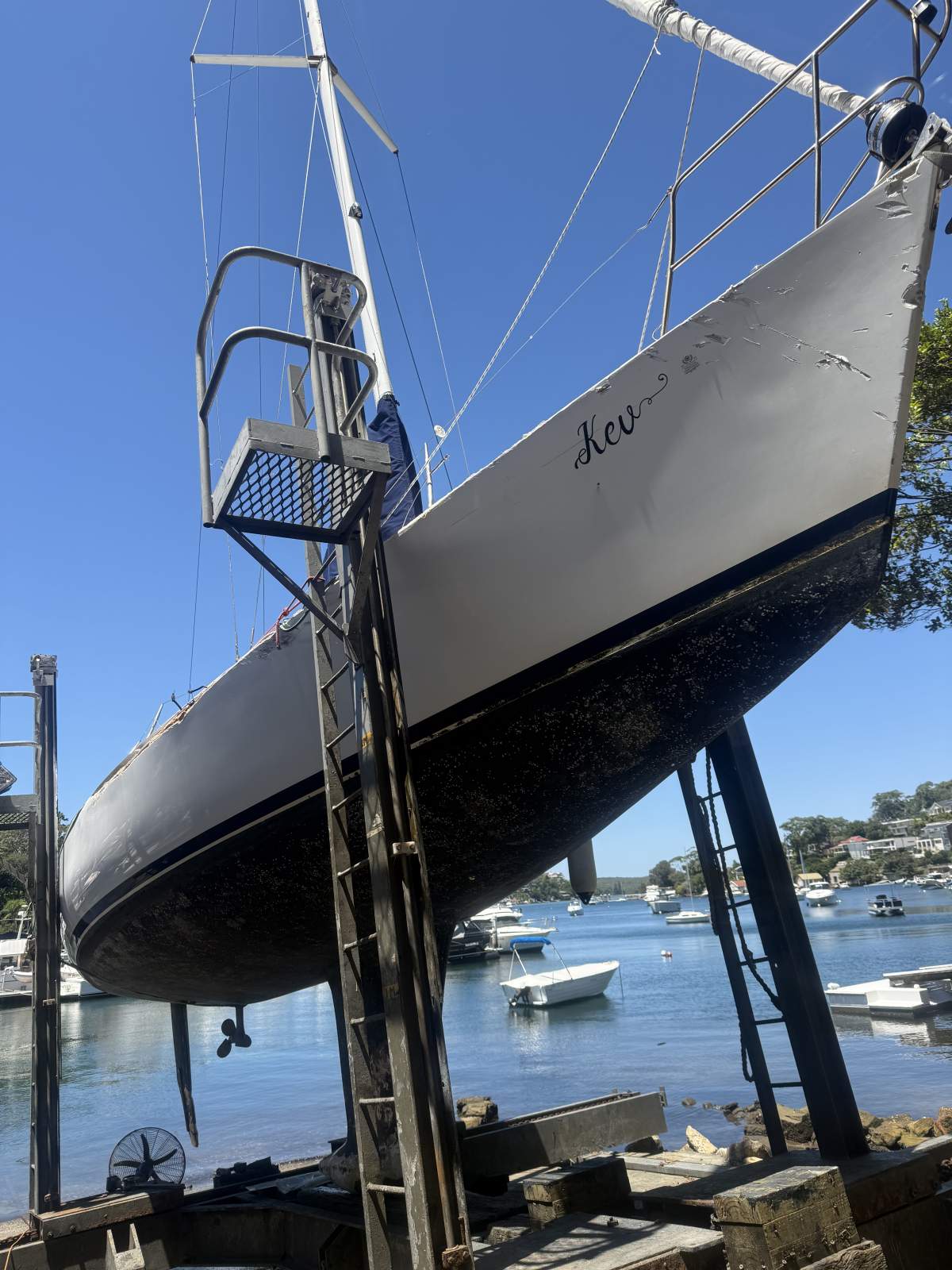 Farr 36