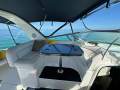 Mustang 3800 Royal Sportscruiser - The Clean Machine