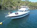 Vitech 57 Sundeck