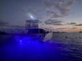 Fusion Catamarans 46