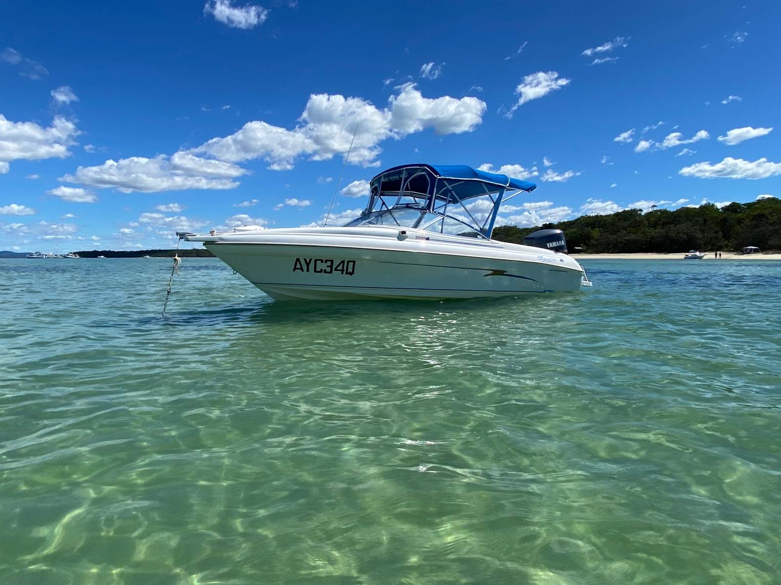Haines Signature 550BR