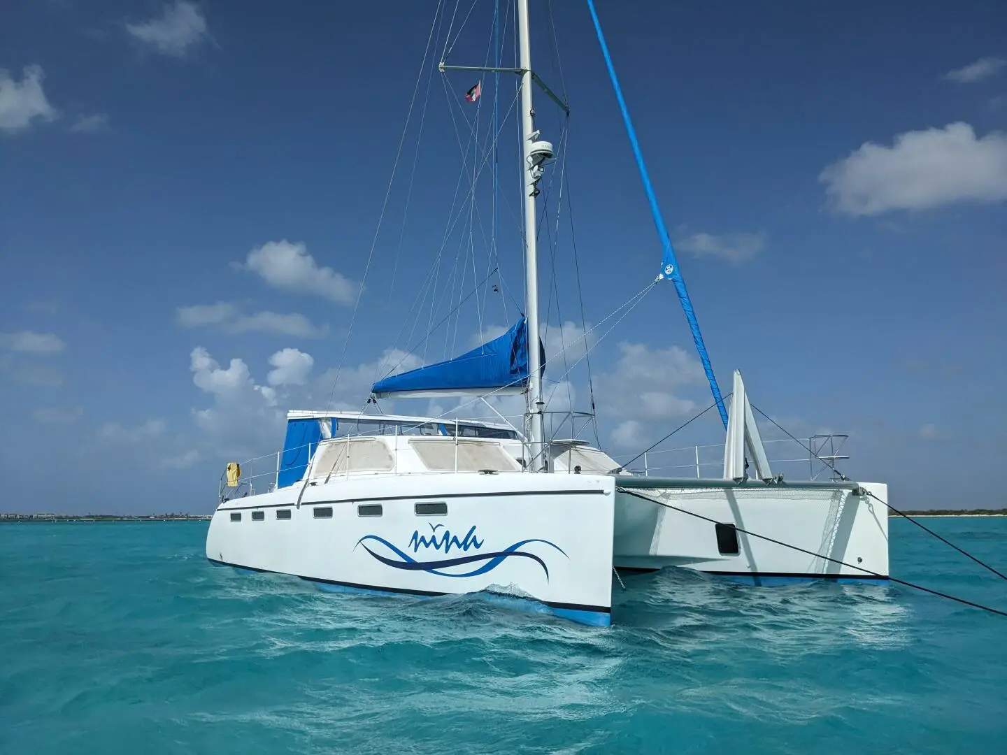 African Cats Fastcat 435
