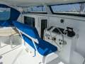 African Cats Fastcat 435
