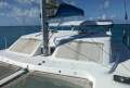 African Cats Fastcat 435