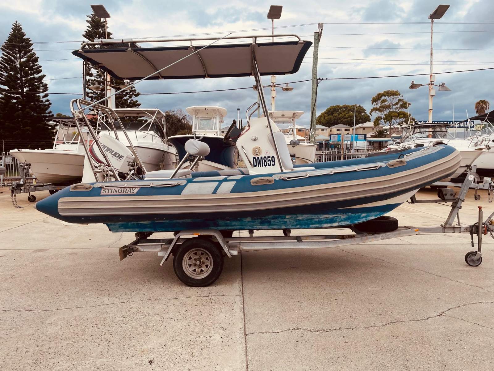 Stingray Ribs 5.4M Searider