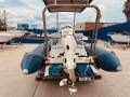 Stingray Ribs 5.4M Searider