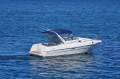 Northern Star Evolution 33