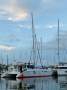 Watercats PH46