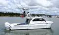 Sailfish 3700 Platinum Sports