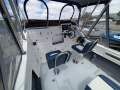 Seacat 565 In immaculate condition