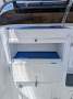 Seacat 565 In immaculate condition