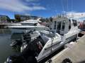 Leisurecat 8000 Sportsfisher