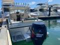 Baron OFFSHORE 21 HARDTOP " BOAT HOUSE STORAGE ":Boarding Ladder