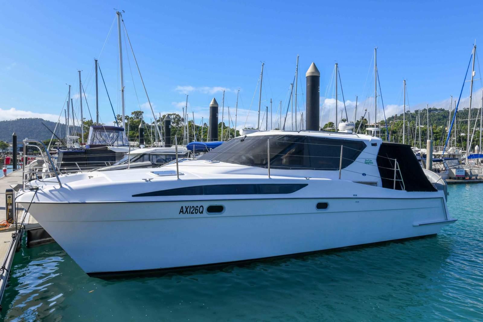 Haines Signature Powercat 3600
