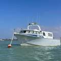 Fine Entry Marine /Gavin Mair Design