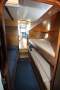 Wal Shirt Timber Cruiser