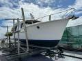 Wal Shirt Timber Cruiser