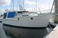 Wal Shirt Timber Cruiser