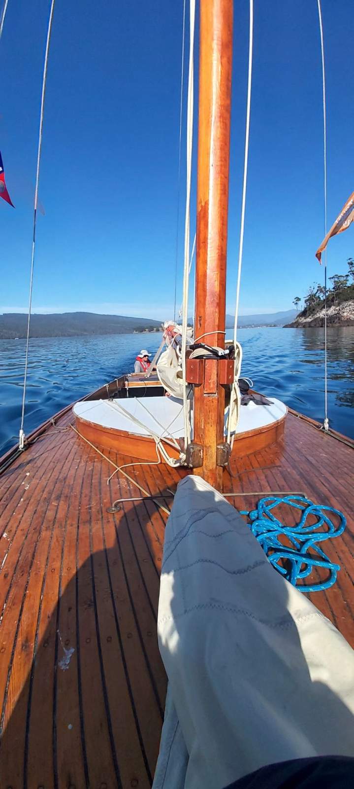 Herreshoff alerion