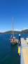 Herreshoff alerion