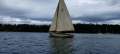 Herreshoff alerion