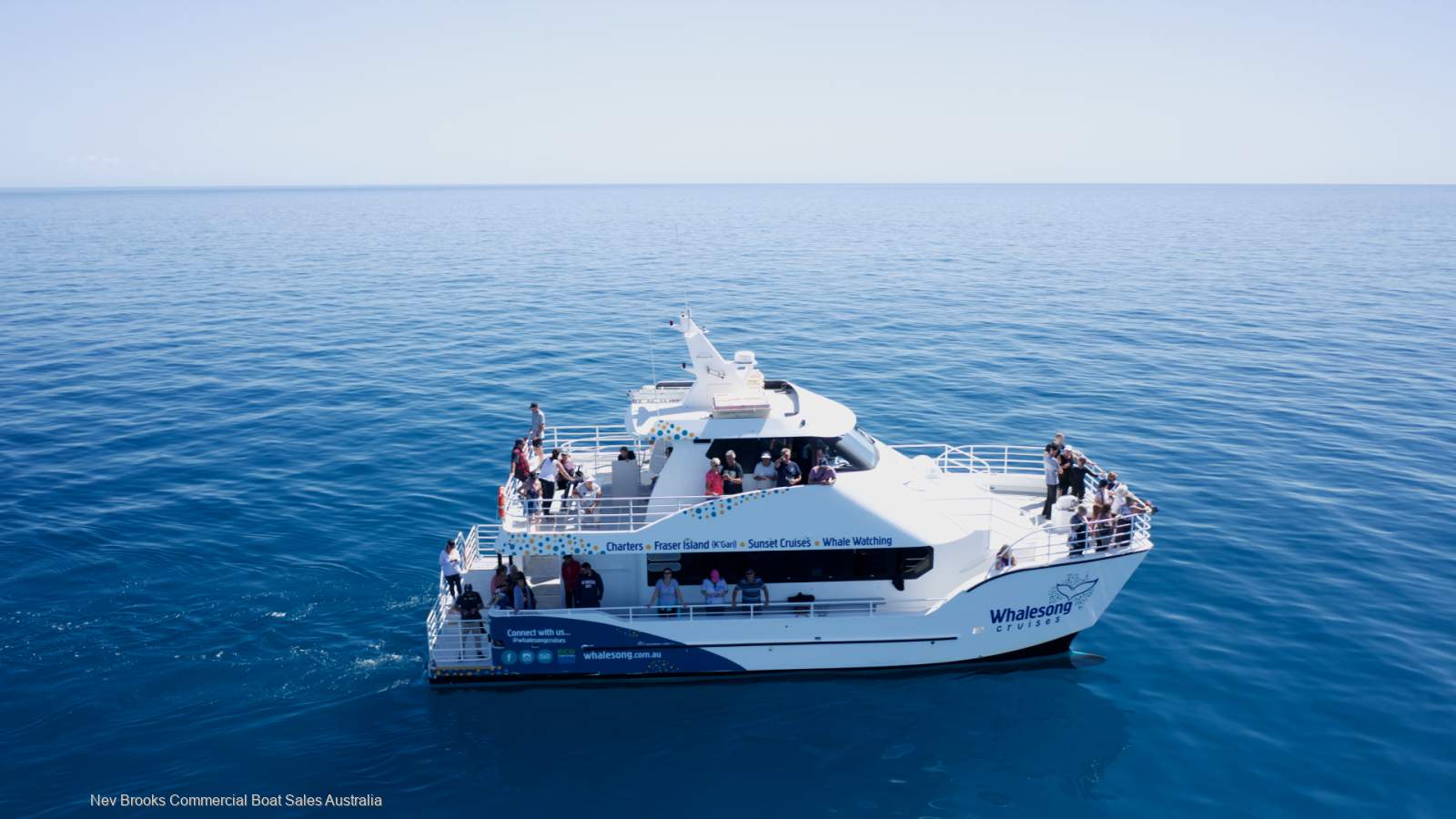 Whale Watching Business