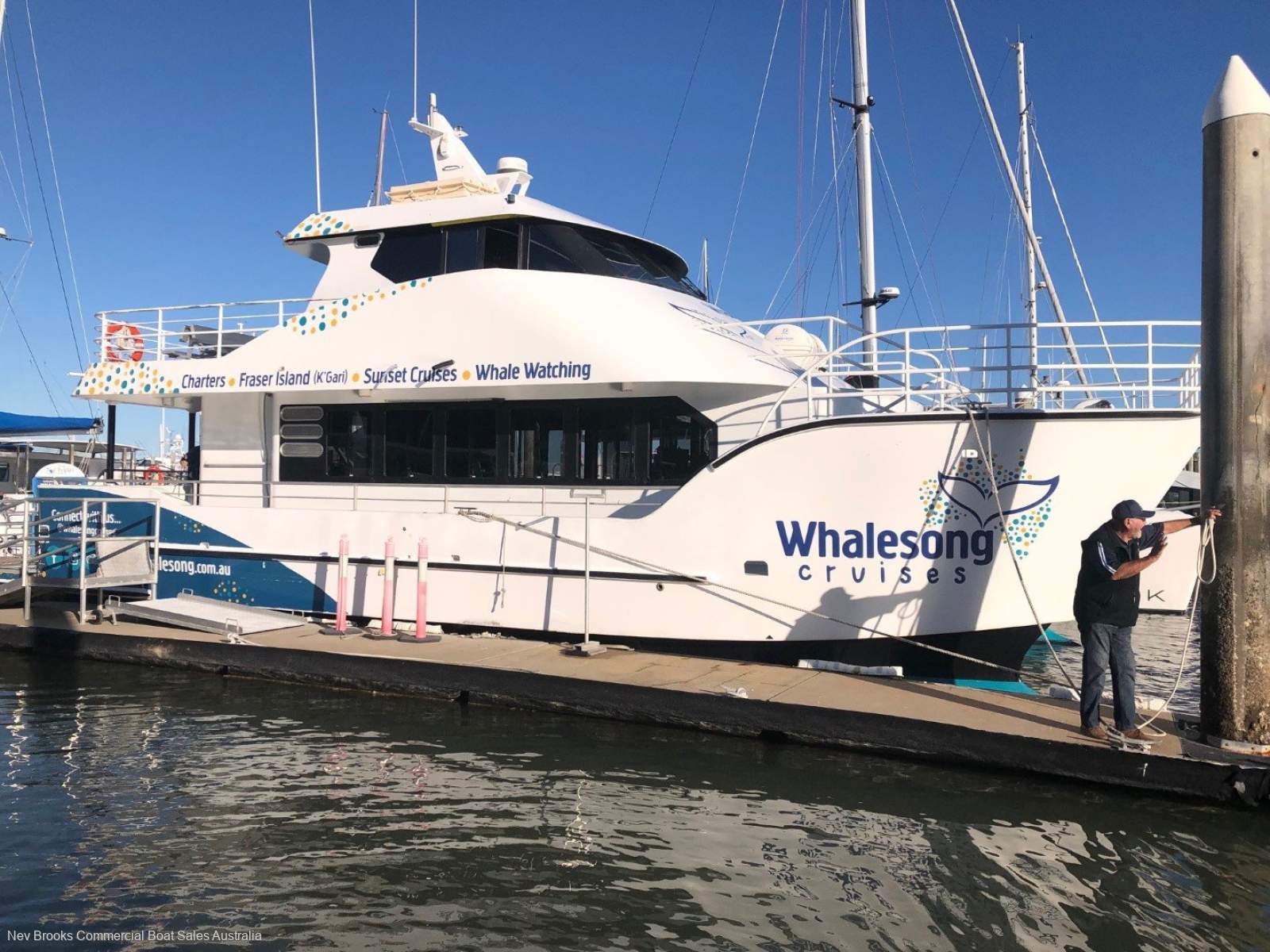 Whale Watching Business