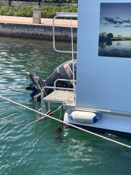 Southland Pontoon