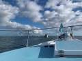 Don Hewitt 34 Bay Cruiser Custom