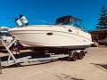 Rinker 250 Fiesta Vee