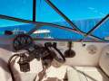 Rinker 250 Fiesta Vee