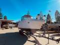 Rinker 250 Fiesta Vee